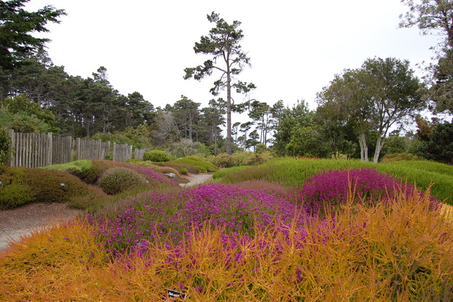 gardening ideas