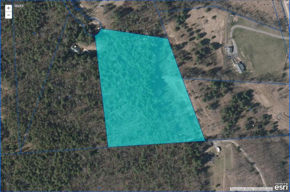 9+ acres of wooded land
