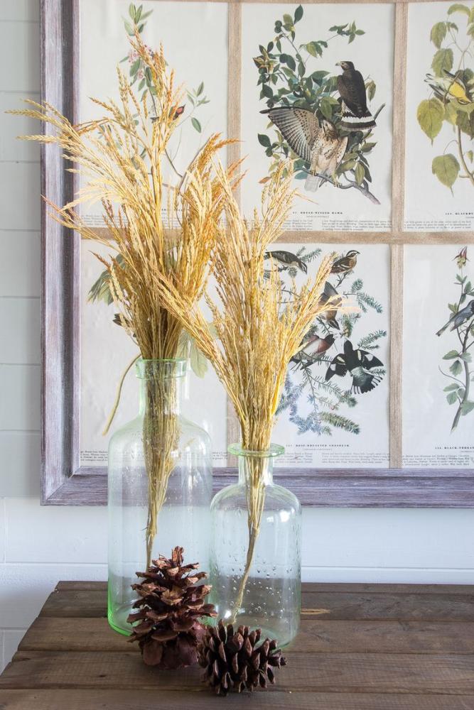 wheat stalks
